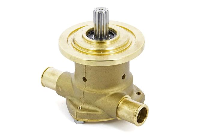 Raw water pump