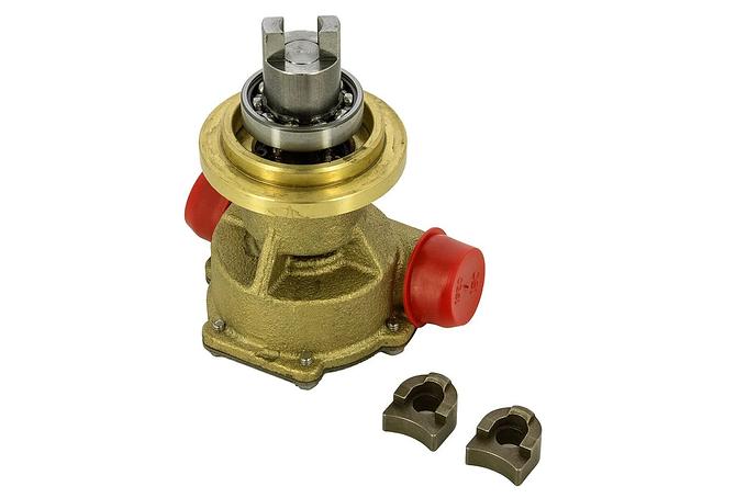 Raw water pump