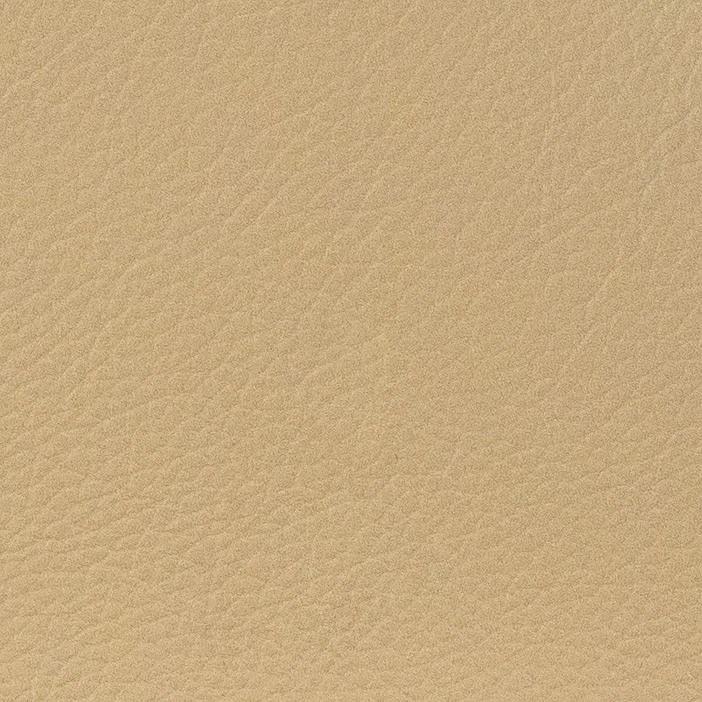 Skai roll 5 x 1,37 meter in RAL 1015 Light Ivory